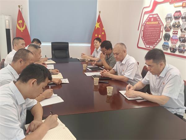 公司領導調研指導鼎信公司、藍盾...